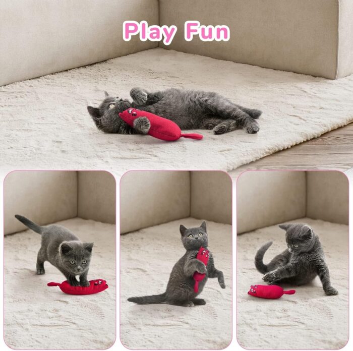 cattoy11