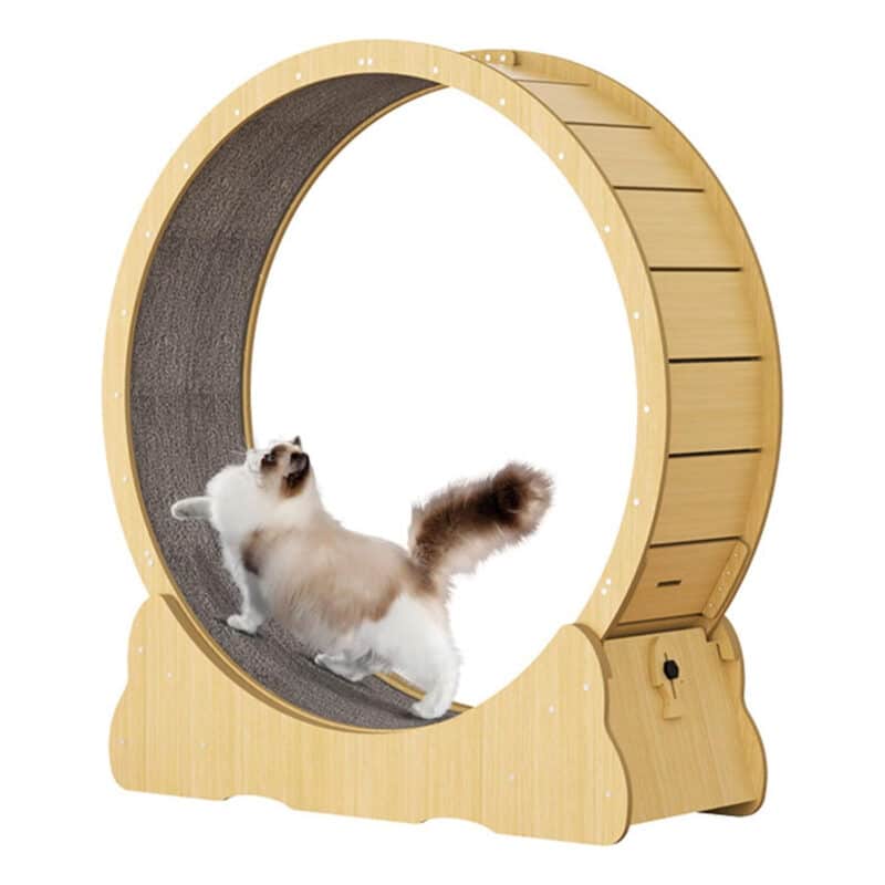 TaraPet Cat Exercise Wheel Durable Wheel for Cats, Promotes Physical Activity and Reduces Boredom, Easy to Clean, Suitable for All Sizes