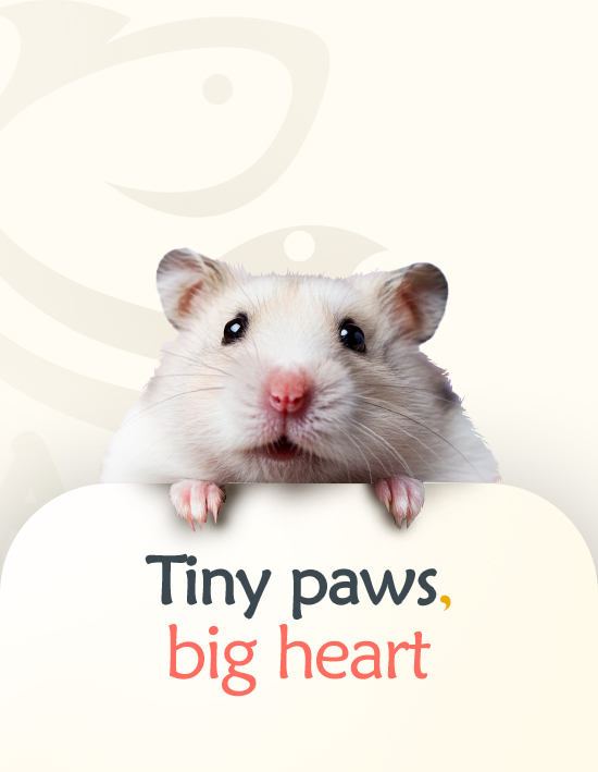 hamster category