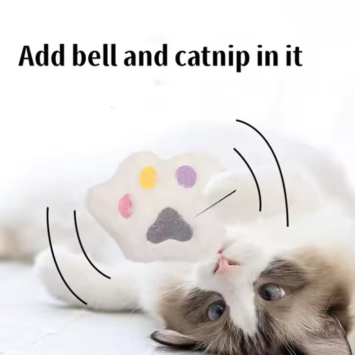 pawcat6
