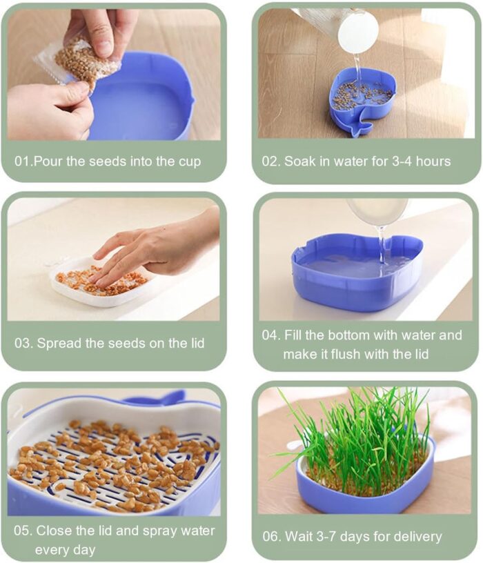 whalepotgrass10 2