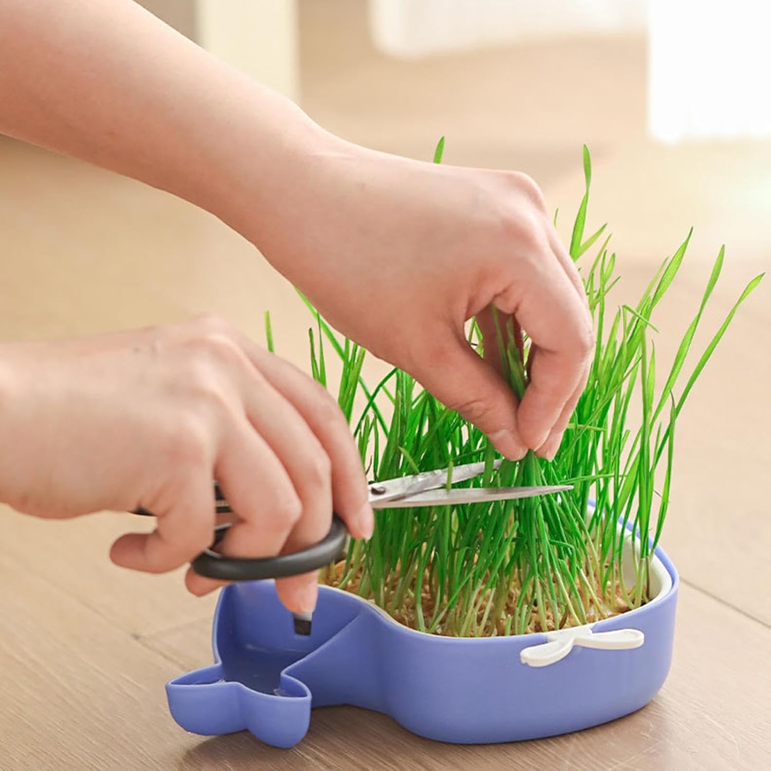 whalepotgrass11 2