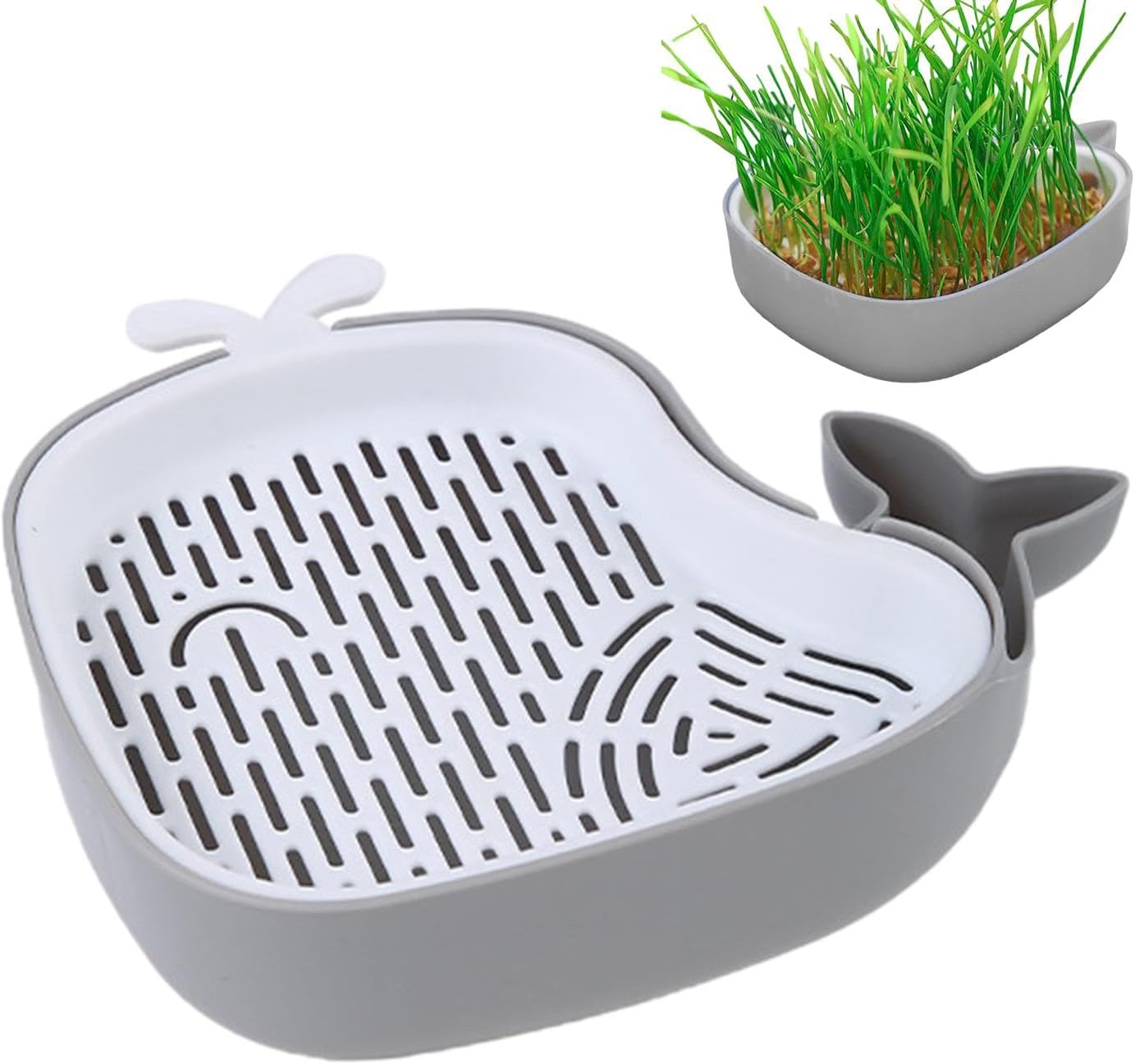 whalepotgrass12
