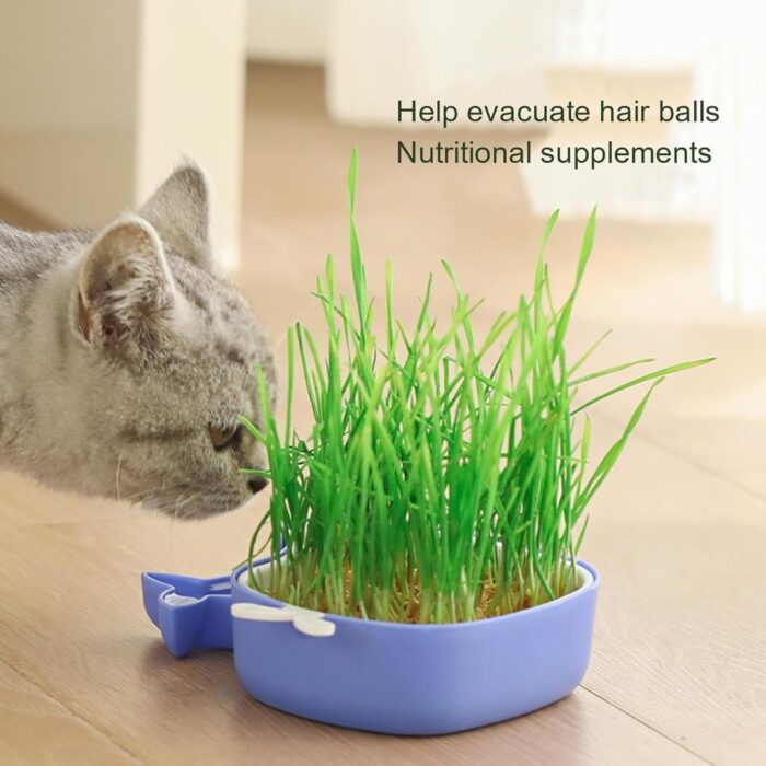 whalepotgrass7 2