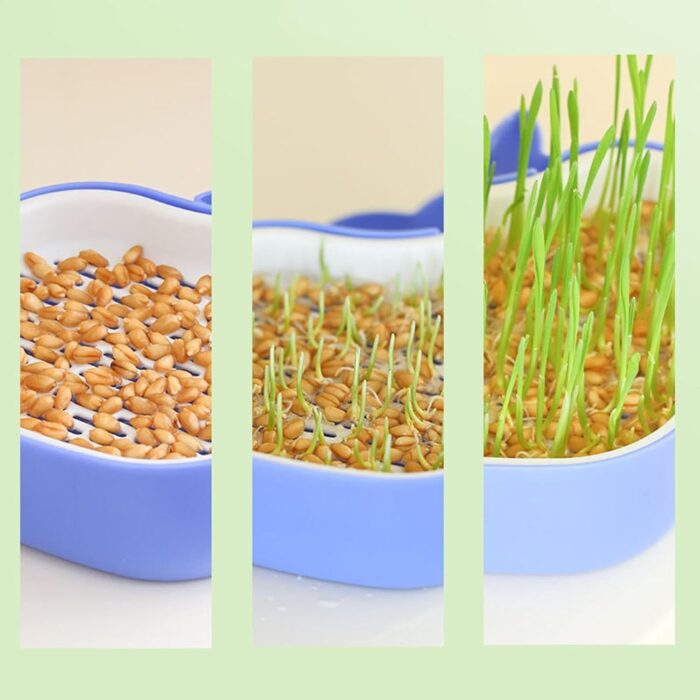 whalepotgrass9 2