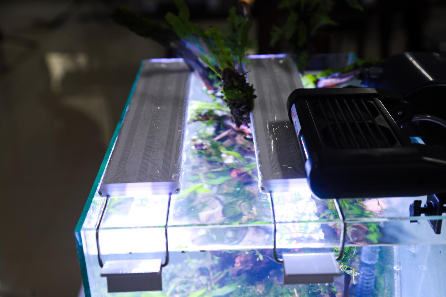 Aquarium Equipment – Everything You Need in the UAE