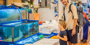 Tara Pet Aquarium Store UAE – Best Fish Food and Filters
