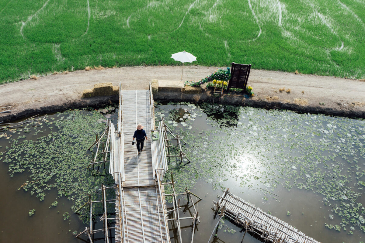 River Pond Equipment UAE – Water Pumps, Filters and Lighting