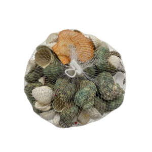 Tankii Aquarium Decor Ornament Sea Shells