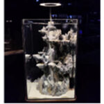 Tankii Aquarium Aquascaping Tank 5 20x20x32cm