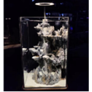 Tankii Aquarium Aquascaping Tank 5 20x20x32cm