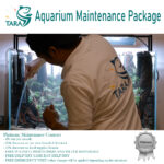 Aquarium Maintenance Packages