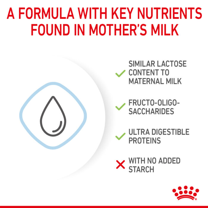 RC Babydog Milk2