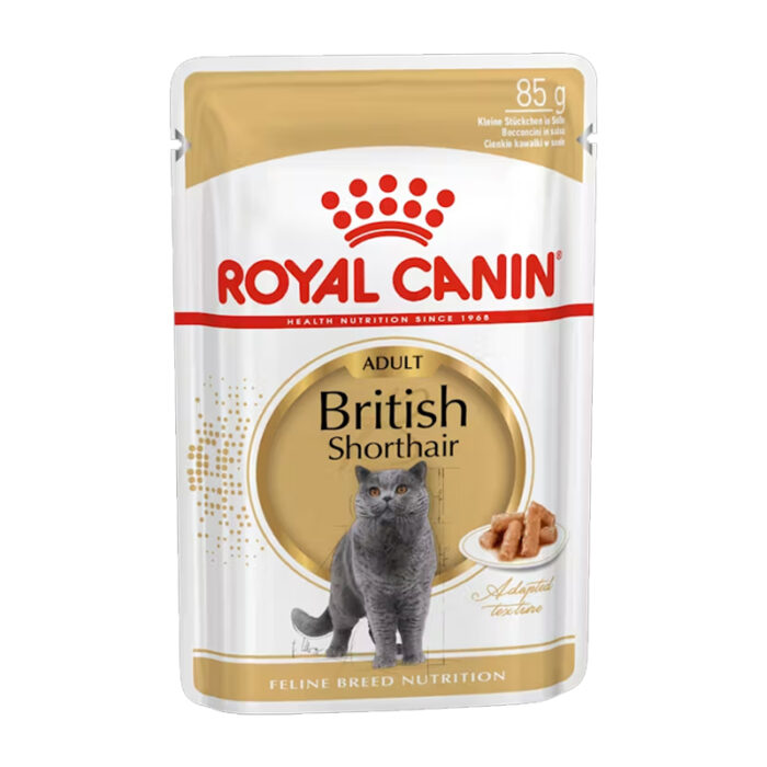 RC British shorthair wet food