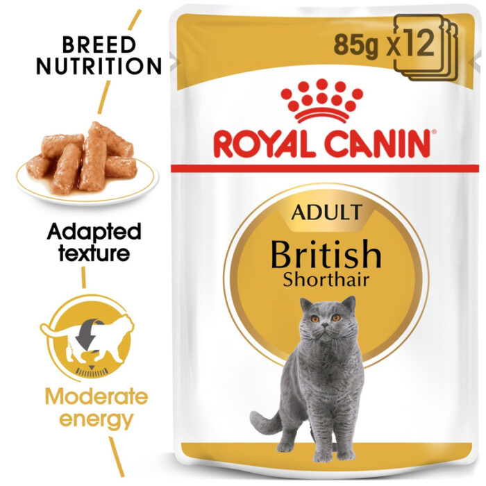 RC British shorthair wet food1