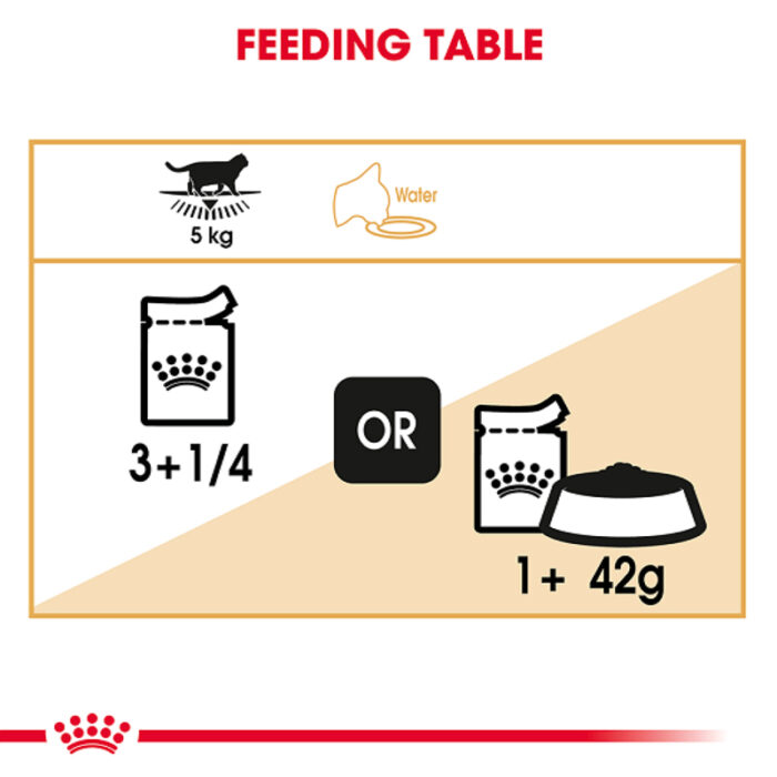 RC British shorthair wet food3