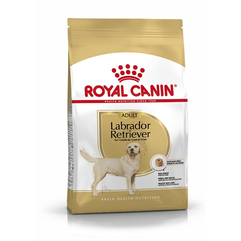 RC Labrador dry food