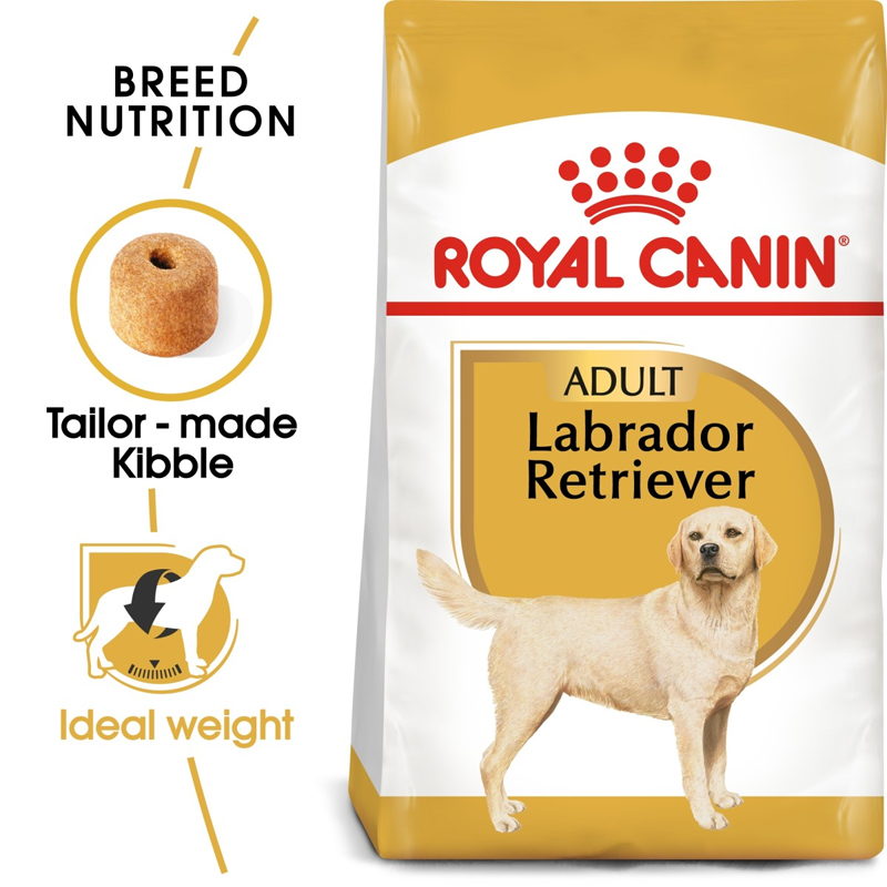 RC Labrador dry food1