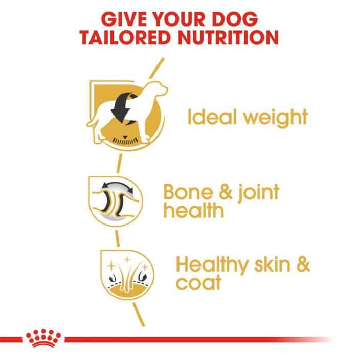 RC Labrador dry food2