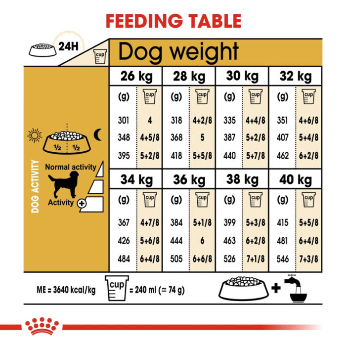 RC Labrador dry food4