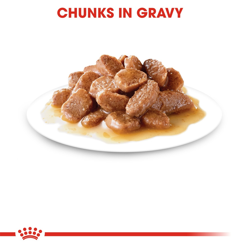 RC Urinary wet food1