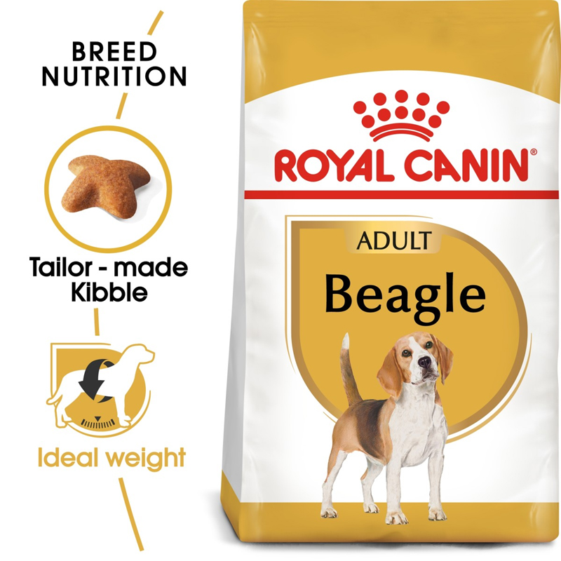 RC beagle dry food1