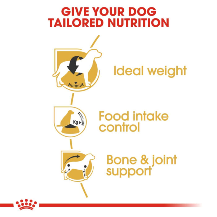 RC beagle dry food4