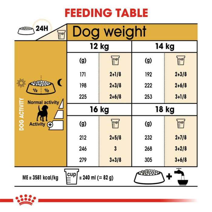 RC beagle dry food6