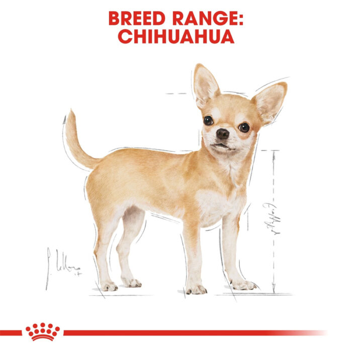 RC chihuahua dry food2