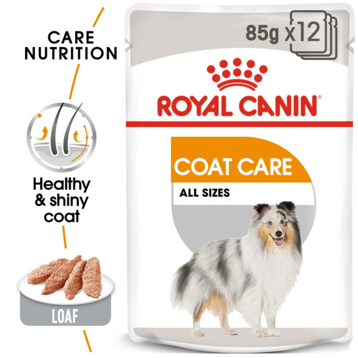 RC coat care dog wet food1