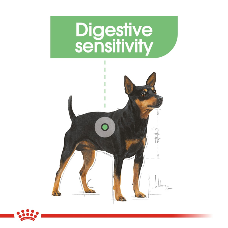 RC digestive care dog wet food1