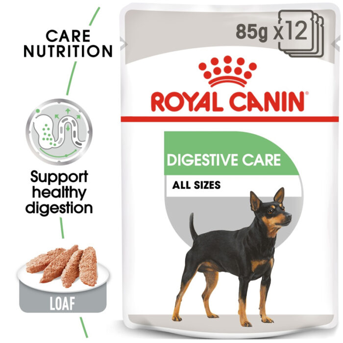 RC digestive care dog wet food6