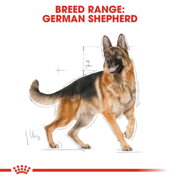 RC german sheperd dry food4