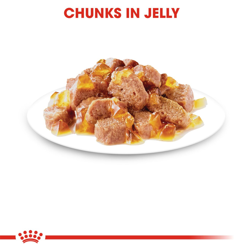 RC hair and skin jelly wet food2