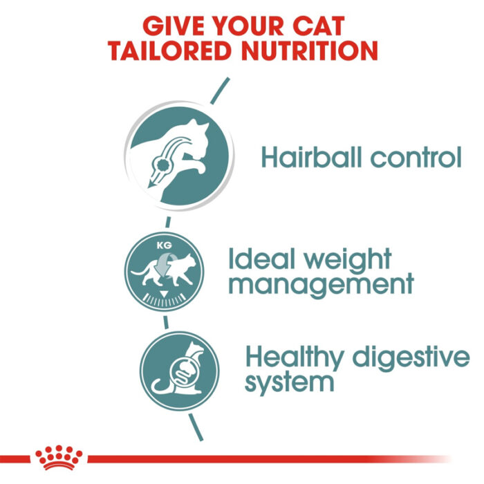 RC hairball wet food1