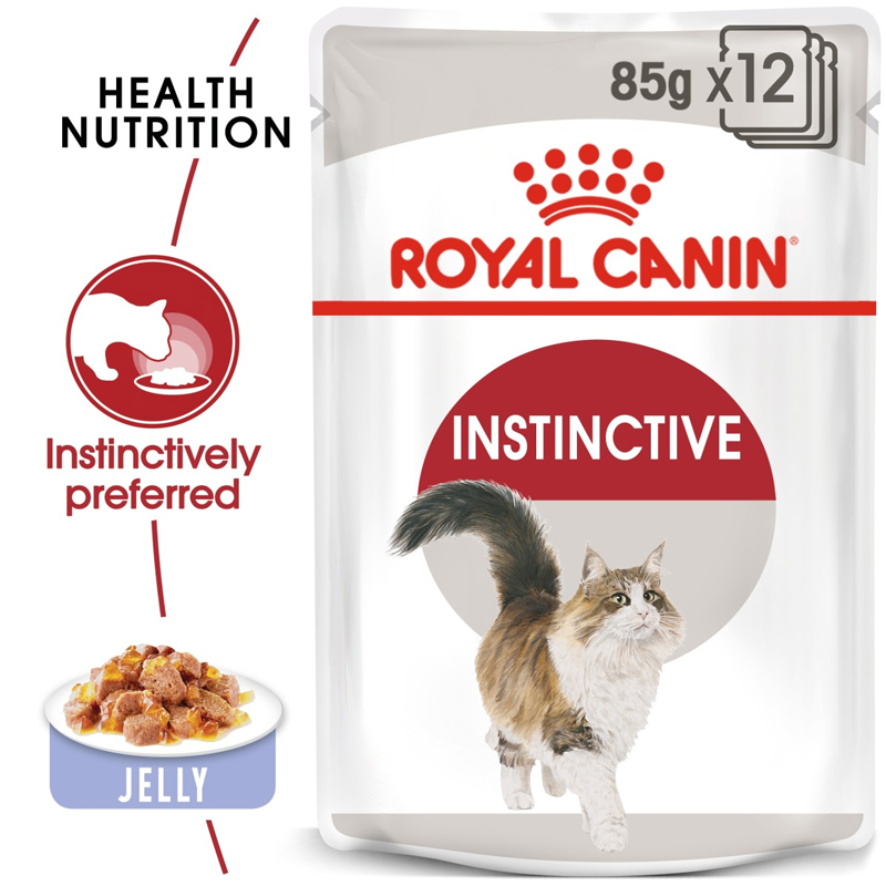 RC instinctive in jelly1