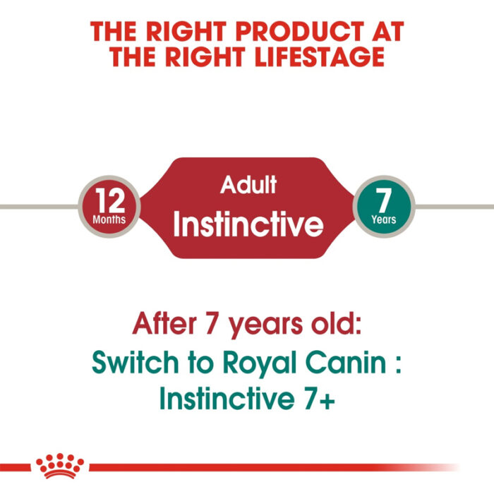 RC instinctive in jelly4