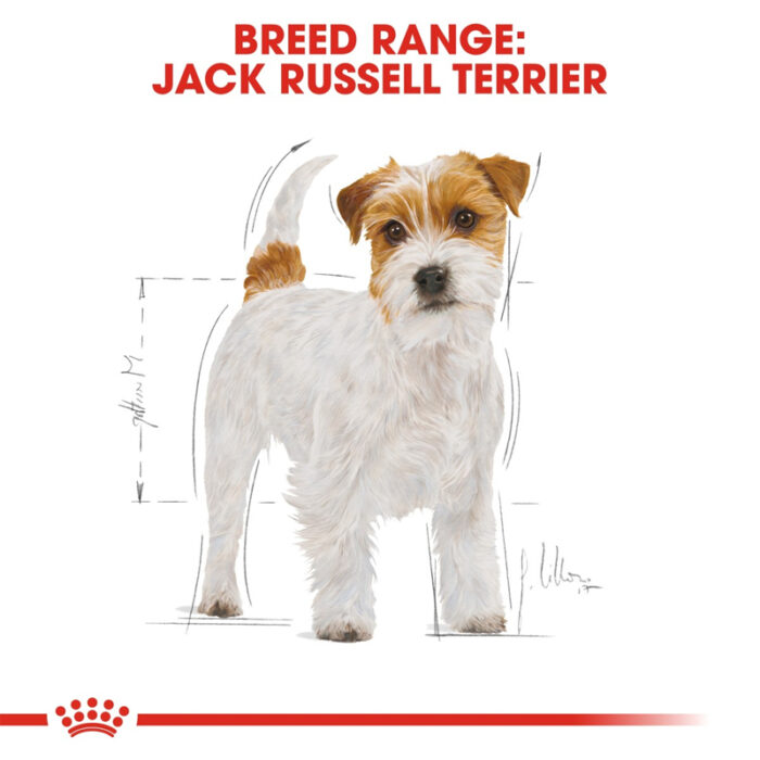 RC jack russell dry food2