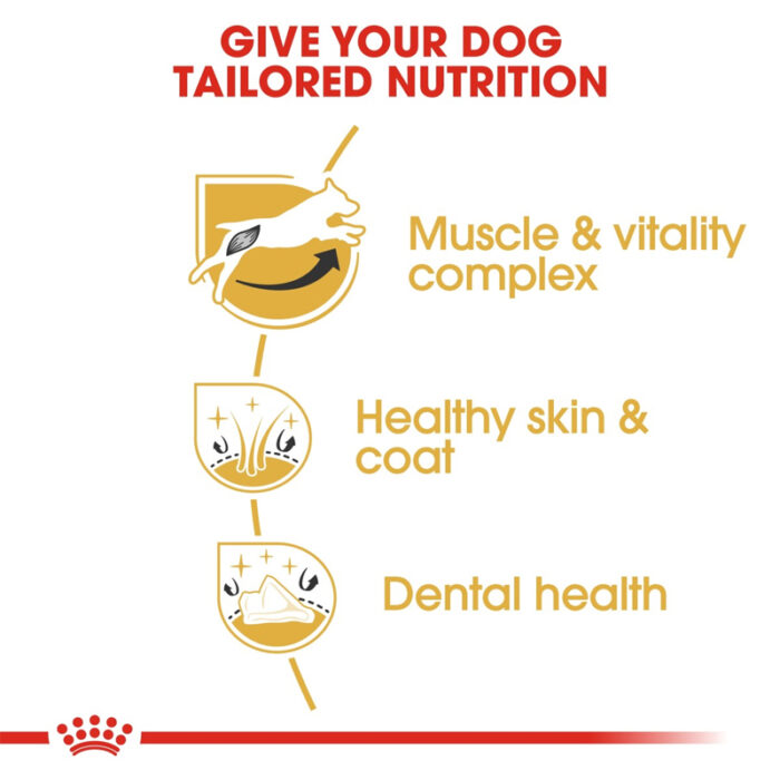 RC jack russell dry food4