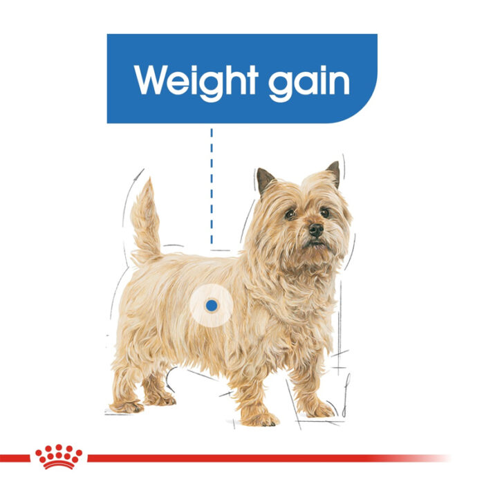 RC light weight care wet food2