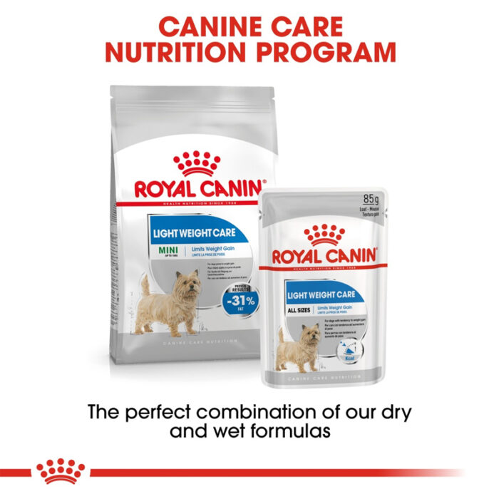 RC light weight care wet food4