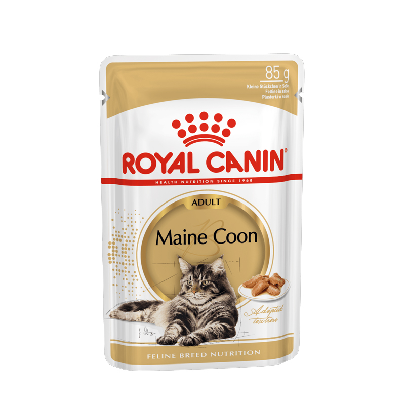 RC maine coon wet food