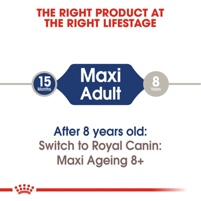 RC maxi adult wet food2