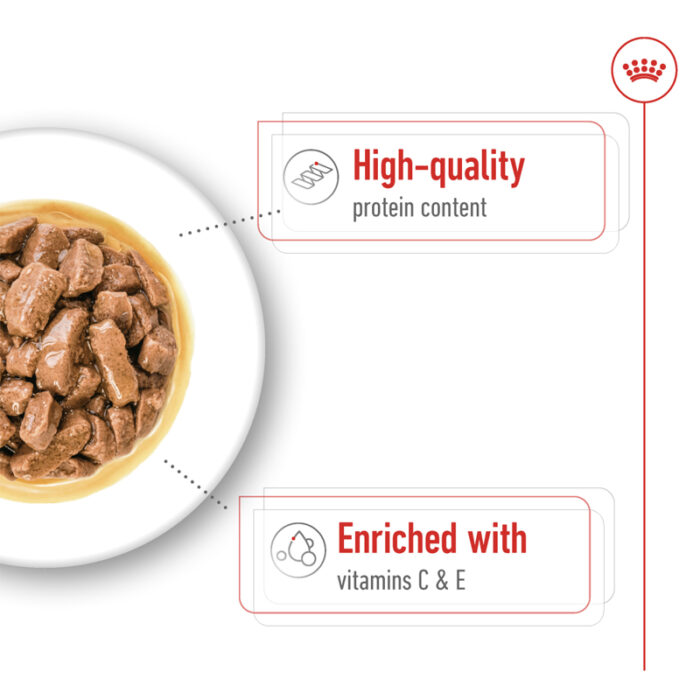RC medium adult wet food1