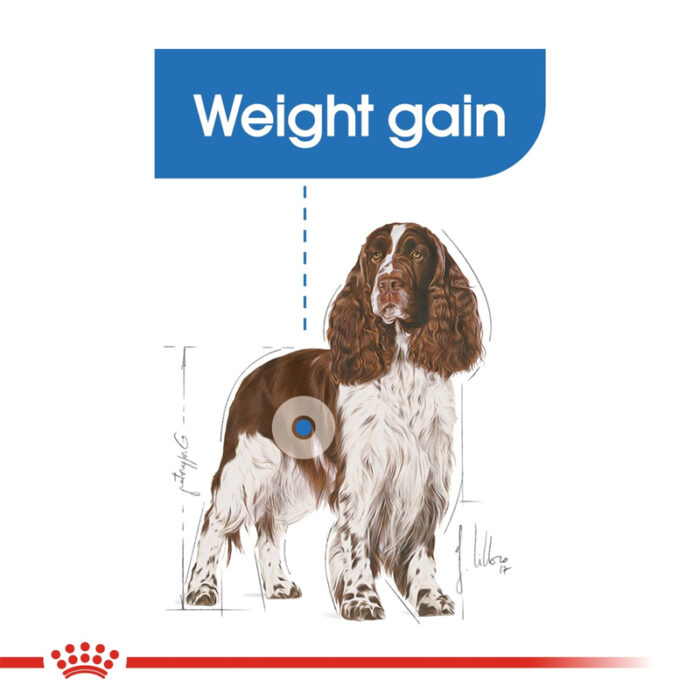 RC medium lightweight care dry food2
