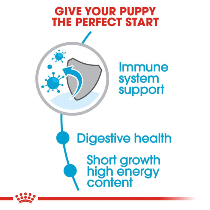 RC medium puppy dry food4