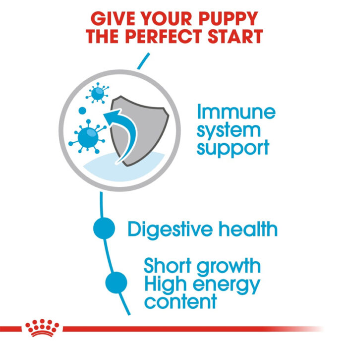 RC medium puppy wet food4