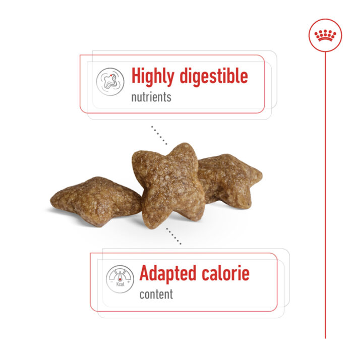 RC mini adult dry food2