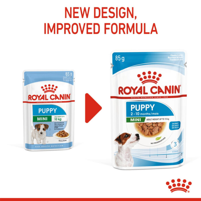 RC mini puppy wet food1