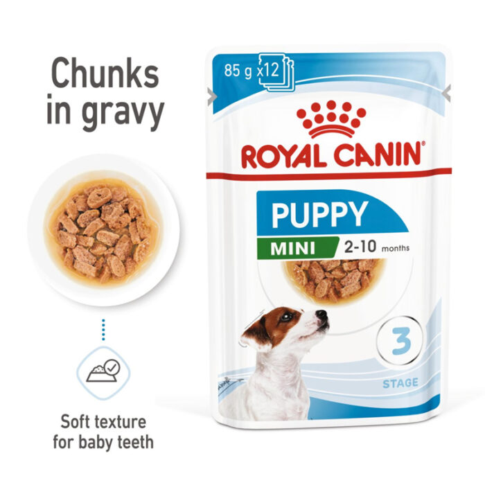 RC mini puppy wet food2